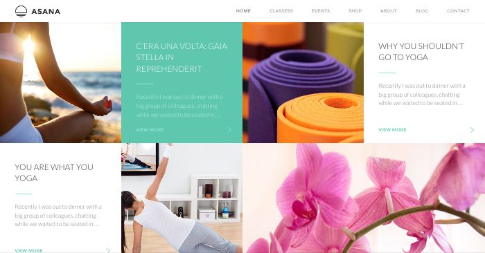 Asana03