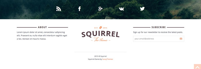 Squirrel-04