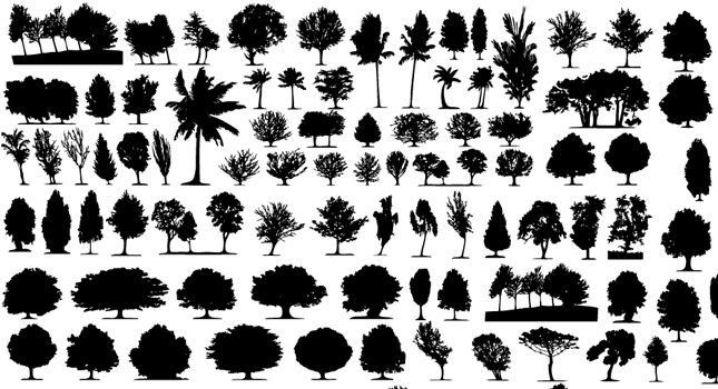 lots_of_tree_silhouettes