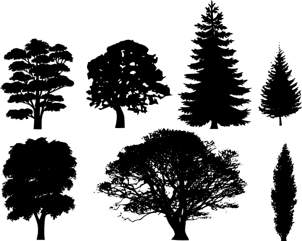oak-tree-vector1