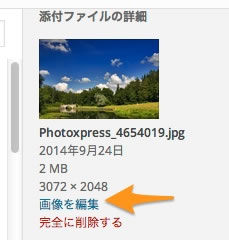 wp-size-04